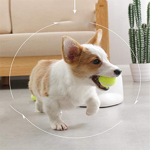 Hyper Fetch Tennis Ball Automatic Ball Launcher Dog Ball Thrower Machine