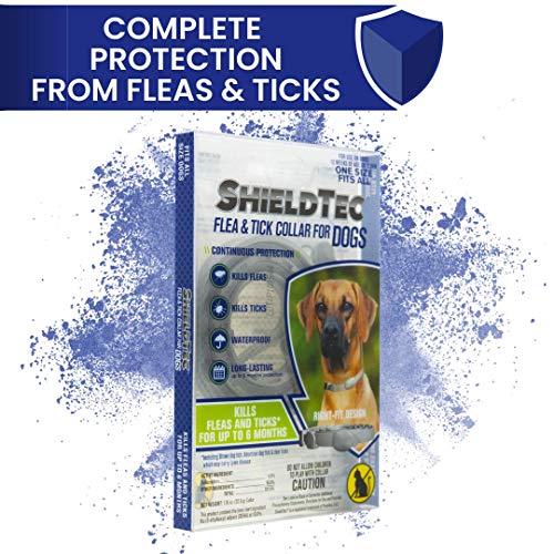 ShieldTec Flea and Tick Collar for Dogs, 12 Weeks of Age or Older