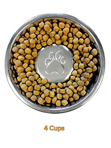 Neater Pet Brands Slow Feed Bowl Stainless Steel (4 Cup) Fits in Large Neater
