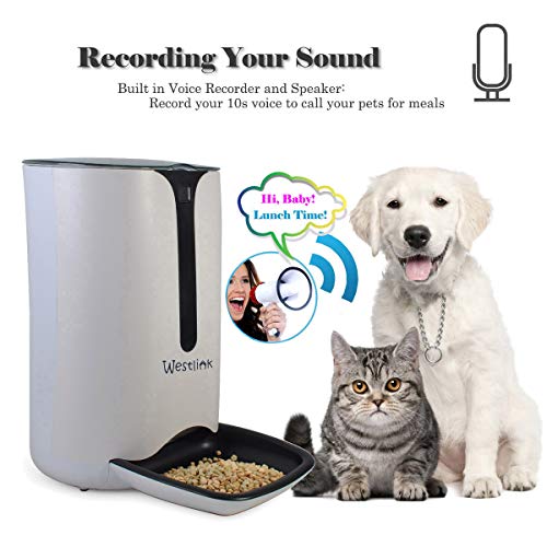 WESTLINK 7L Automatic Pet Feeder Food Dispenser for Large Small Dogs and Cats
