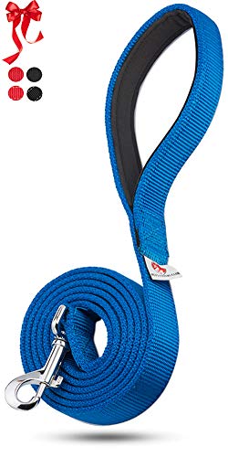 Dutchy Brand Pets Lovers Club Blue Dog Leashes for Large and Medium Dogs - Extra Durable Webbing - Padded Handle - 6 Feet Long by 1 Inch Wide