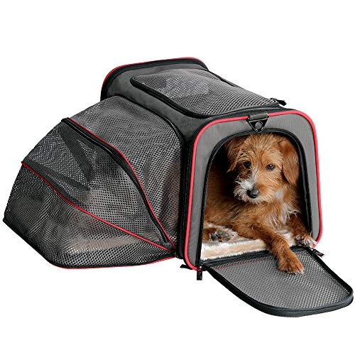 Petsfit 19"x12"x12" Expandable Foldable Washable Travel Carrier, Not All Airline-Approved Pet Carrier Soft-Sided