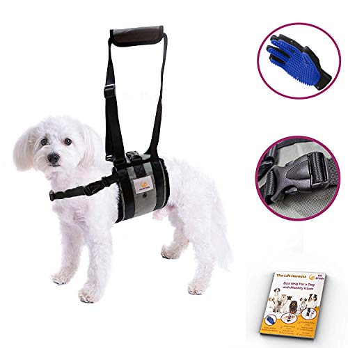 Veterinarian Approved Dog Support Harness + Hair Remover Glove - Dogs Sling Lift for Paralyzed Legs - Adjustable Straps - Mobility Rehabilitation for Injured Arthritis Elderly Disabled - Small Breed