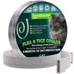 LORDDDON Flea and Tick Collar for Cats and Small Dogs One Size Fits All