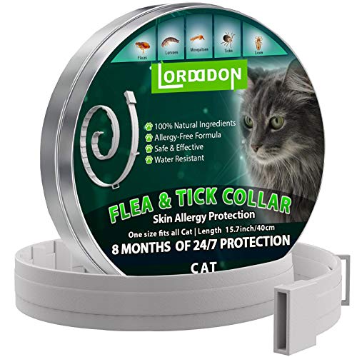 LORDDDON Flea and Tick Collar for Cats and Small Dogs One Size Fits All