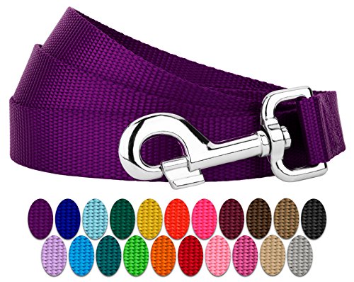 Country Brook Petz - Vibrant 25 Color Selection - Nylon Dog Leash