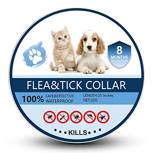 Bomior Flea and Tick Collar for Dogs & Cats - 8 Months Protection