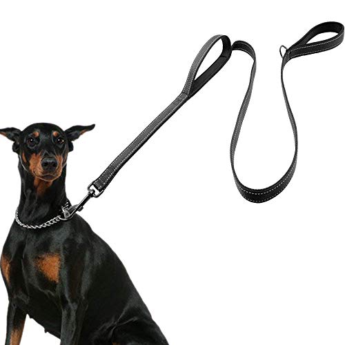 Eco-clean Dog Leash for Large Dogs, 2 Handles for Extra Control