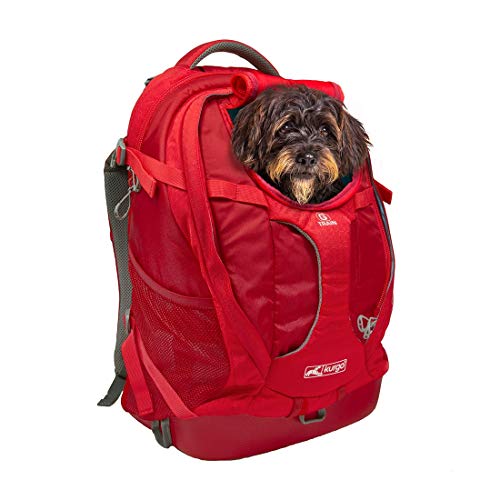 Kurgo Dog Carrier Backpack for Small Dogs & Cats | G-Train Pet Backpack Carrier | Airline Approved | Cat Backpack | Small Dog Backpack for Hiking & Travel | Lightweight | Waterproof Bottom