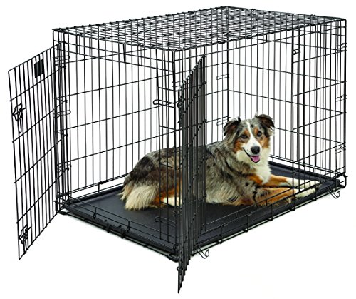 Large Dog Crate | MidWest Life Stages Double Door Folding Metal Dog Crate