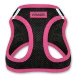 Voyager Step-In Air Dog Harness - All Weather Mesh, Step In Vest Harness