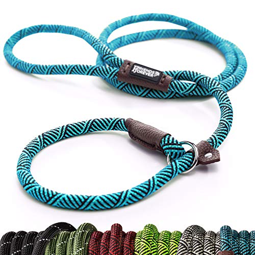 Friends Forever Extremely Durable Dog Rope Leash, Premium Quality Mountain Climbing Rope Lead, Strong, Sturdy Comfortable Leash Supports The Strongest Pulling Large Medium Dogs 6 feet, Blue