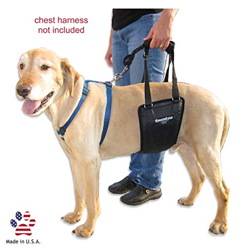 GingerLead Dog Support & Rehabilitation Harness with Cutout - Medium/Large Sling; Assist Senior or Disabled Pets; Ruptured Cruciate Ligament, Hip or Back Surgery Recovery Aid; for Male/Female Dogs