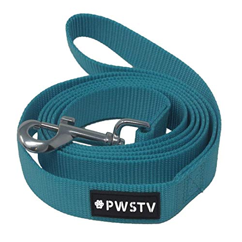 The Pawsitive Co. Dog Leash, Buy a Leash. Feed a Dog Durable Nylon Puppy