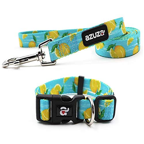 azuza Dog Collar and Leash Set, Lemon Patterns on Blue Nylon Collar and Matching