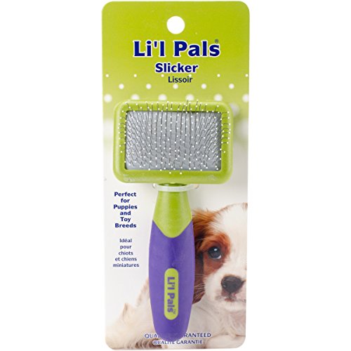 Li'l Pals Dog Slicker Brush with Coated Pins