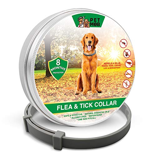 Pet Mob Flea & Tick Collar - Flea & Tick Prevention for Dogs Plus Free Tick Removal