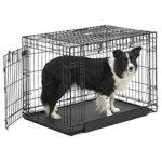 MidWest Homes for Pets Ovation Double Door Dog Crate