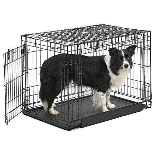 MidWest Homes for Pets Ovation Double Door Dog Crate