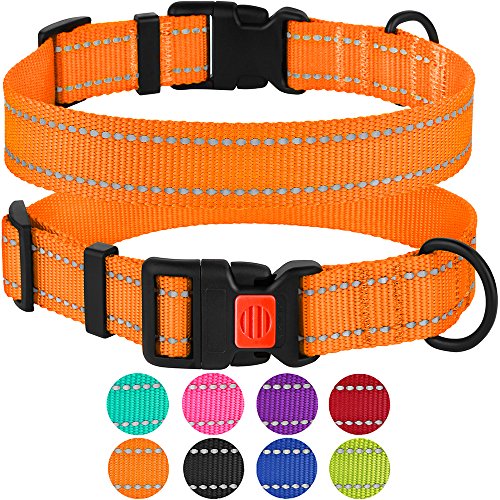 CollarDirect Reflective Dog Collar with Buckle Adjustable Safety Nylon Collars for Dogs Small Medium Large Pink Black Red Blue Purple Green Orange (Neck Fit 14"-18", Orange)