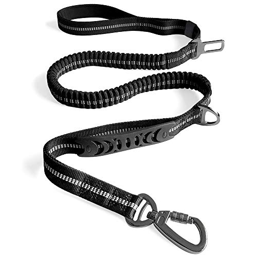 Wishnice 6FT Strong Bungee Dog Leash with Upgraded Reflective