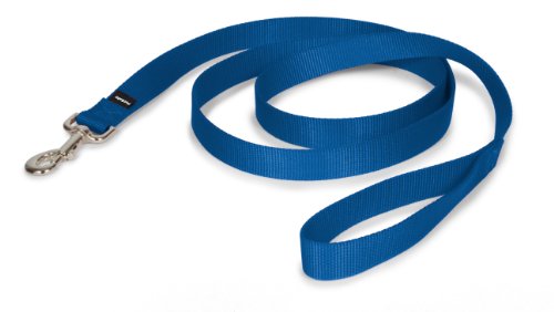 PetSafe Nylon Leash, 1" x 6', Royal Blue