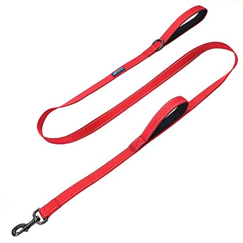 Max and Neo Double Handle Traffic Dog Leash Reflective - We Donate a Leash