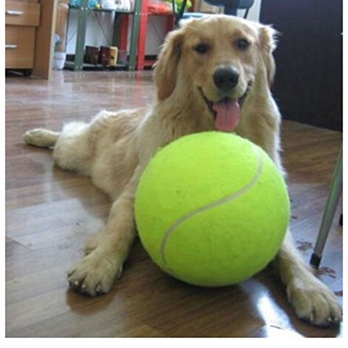 Hot 9.5" Big Giant Pet Dog Puppy Tennis Ball Thrower Chucker Launcher Play Toy