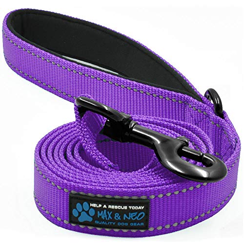 Max and Neo Small Dog Reflective Nylon Dog Leash - We Donate a Leash to a Dog Rescue for Every Leash Sold (Purple, 4x5/8)