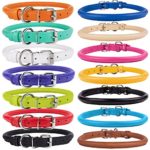 CollarDirect Rolled Leather Dog Collar, Soft Padded Round Puppy Collar