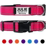 Taglory Personalized Dog Collar with Name Plate,Custom Engraved Pet ID Tags No Noise,Reflective Collars Training for Small Medium Large Dogs,Cherry