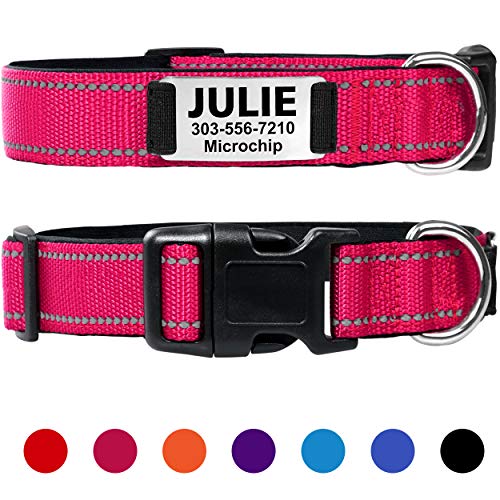 Taglory Personalized Dog Collar with Name Plate,Custom Engraved Pet ID Tags No Noise,Reflective Collars Training for Small Medium Large Dogs,Cherry