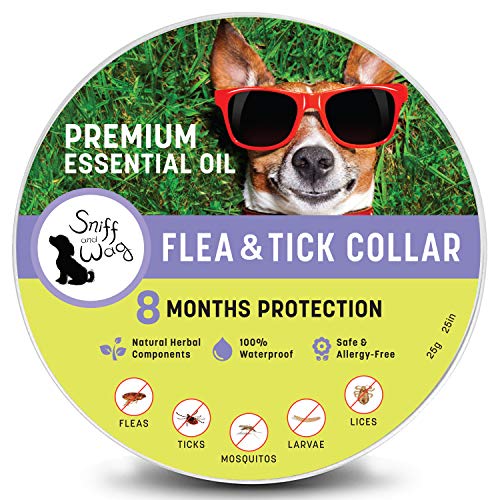SNIFFANDWAG Flea Tick Collar for Pets | Treatment and Prevention for Dogs.