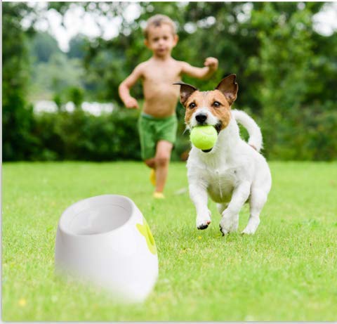 Dporticus Automatic Interactive Dog Tennis Ball Launcher Throwing Machine