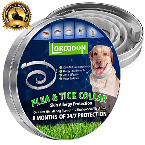 LORDDDON Flea and Tick Prevention Collar One Size Fits All Dogs and Cats Flea