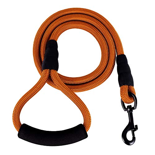 Mile High Life Mountain Climbing Nylon Dog Rope Leash with Soft Handle 4 Feet