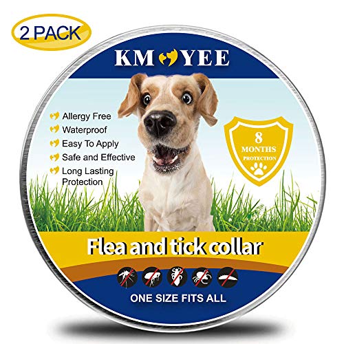 KMOYEE Collar for Dogs, 8 Months Treatment and Prevention