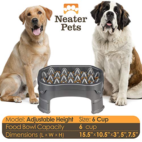 Neater Pet Brands - Neater Raised Slow Feeder Dog Bowl - Elevated and Adjustable