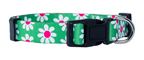 Native Pup Flower Dog Collar/Paisley Dog Collar