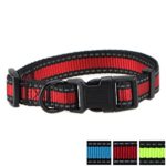 Mile High Life Dog Collar | Reflective 3M Stripe with Nylon Band