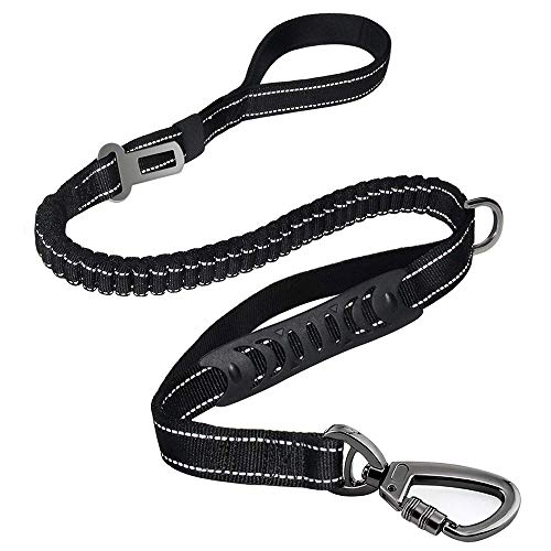 habbipet 6FT Bungee Strong Dog Leash, Highly Reflective Threads Bungee Buffer