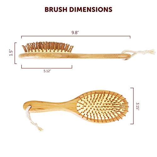 Bampooch Bamboo Dog Brush and Cat Brushes for grooming Grooming Tools for All Hair or Fur Types for a Glossy Natural Rubber Rounded Bristles Shiny Coat 