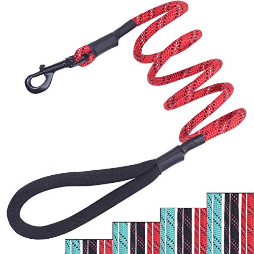 Vivaglory Dog Lead Leash 5ft with The Most Comfortable Padded Handle
