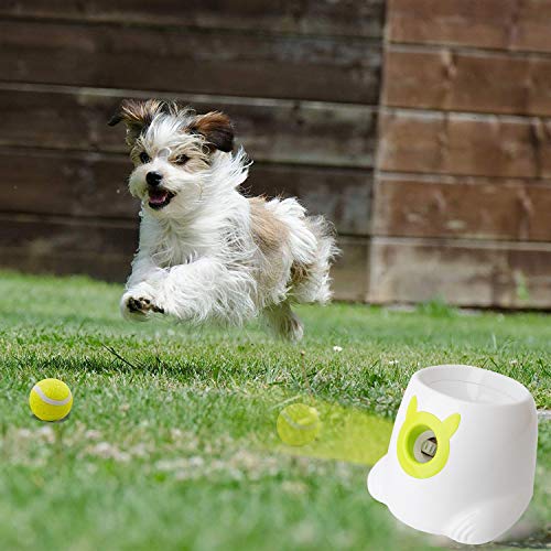 Livebest Mini Automatic Dog Ball Launcher Interactive Throwing and Fetching