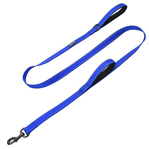 Max and Neo Double Handle Traffic Dog Leash Reflective - We Donate a Leash