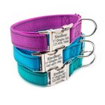 Personalized Dog Collar, Reflective Custom Dog Collar with Name Phone Number