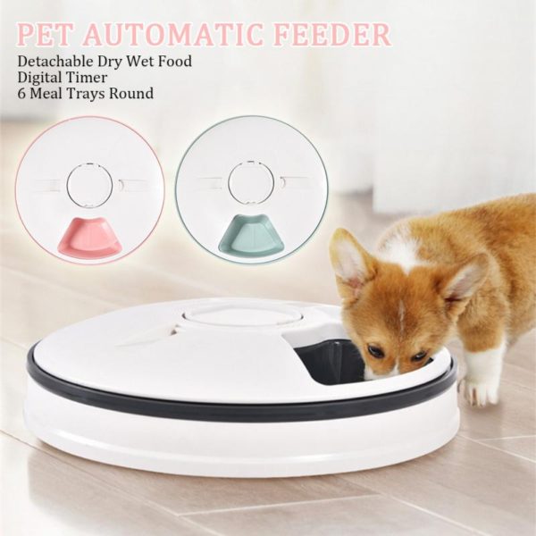 6 Meal Trays Dry Wet Food Water Auto Feeder Pet Bowl