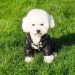 Camouflage Winter Dog Coat Warm Pet Dogs Jumpsuit