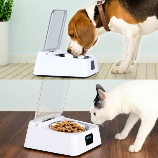 Pet Automatic Feeding Food Cat Dog Bowl Food dispenser