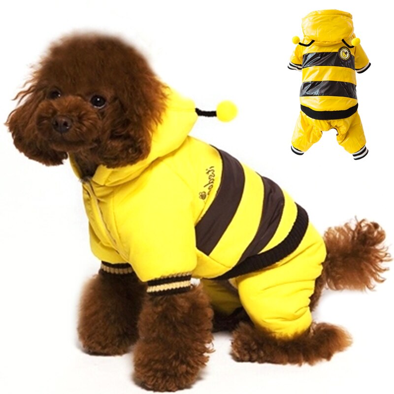 Pet Dog Clothes Cute Bee Shape Dog Jacket Review